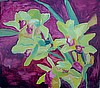 Orchids